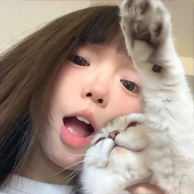 哈妮拉警报
