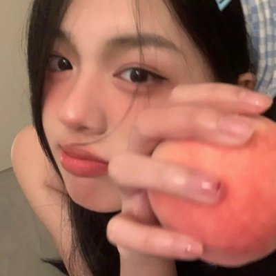 来自收容所的爱